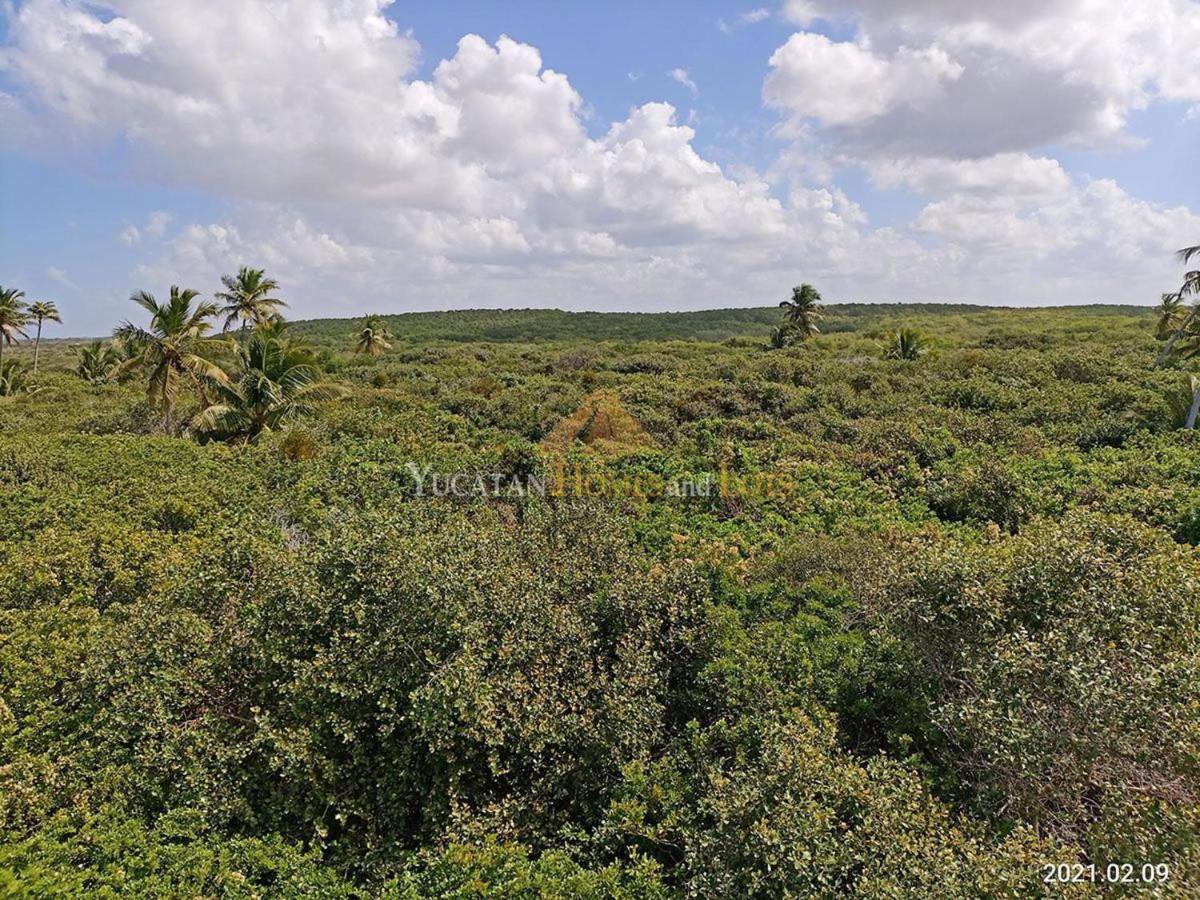 Beachfront Villa In Sisal Yucatan Mexico Екстер'єр фото