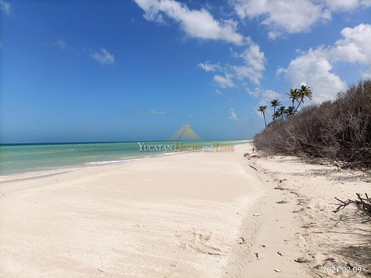 Beachfront Villa In Sisal Yucatan Mexico Екстер'єр фото